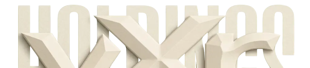 vXr Holdings